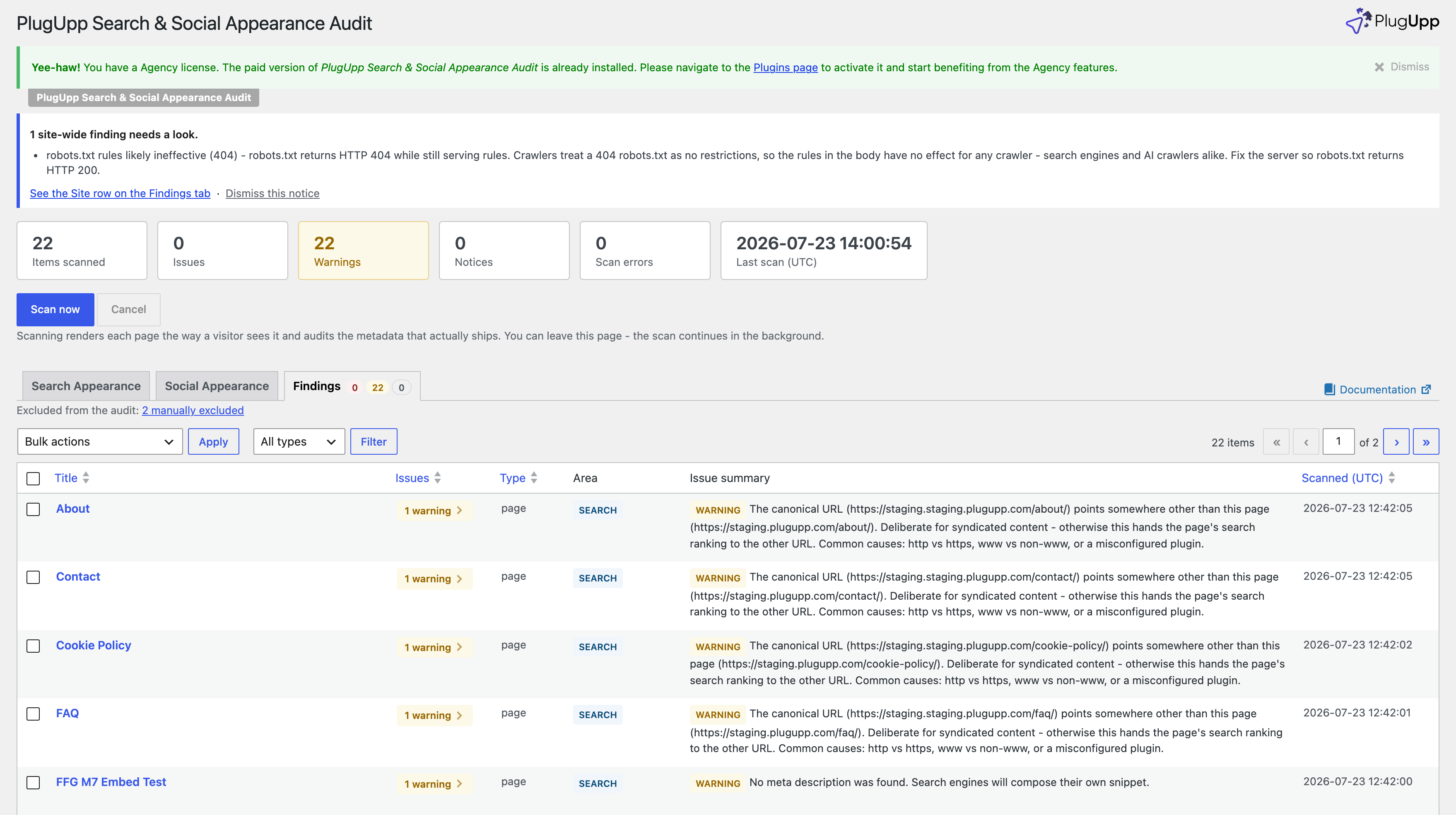 The Findings tab listing every flagged page with area and severity
