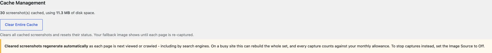 Cache statistics on the settings page